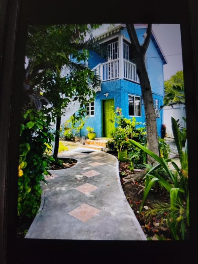 산페드로 Casa Catalina 빌라 외부 사진